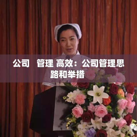 公司   管理 高效：公司管理思路和举措 