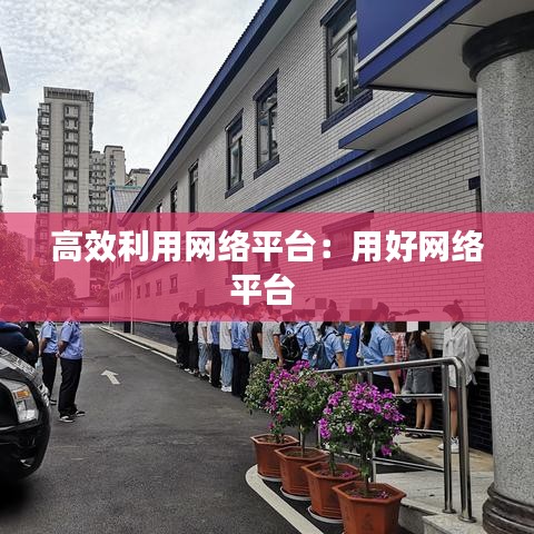 高效利用网络平台：用好网络平台 