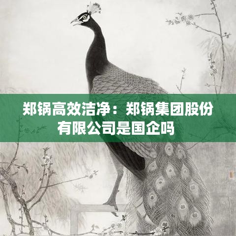 郑锅高效洁净：郑锅集团股份有限公司是国企吗 