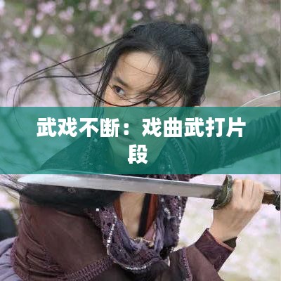 武戏不断：戏曲武打片段 