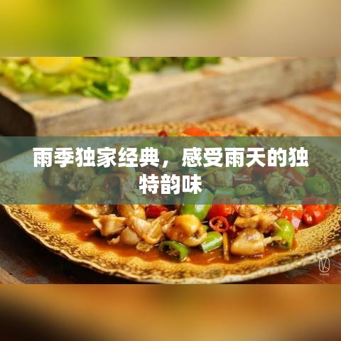 雨季独家经典，感受雨天的独特韵味