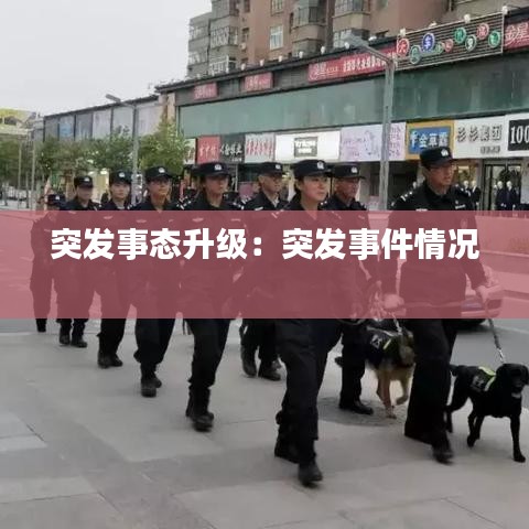 突发事态升级：突发事件情况 