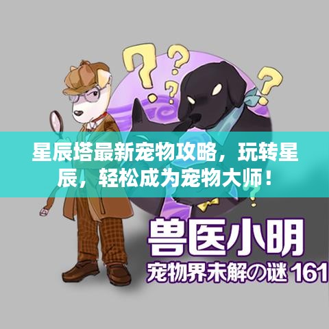 星辰塔最新宠物攻略，玩转星辰，轻松成为宠物大师！