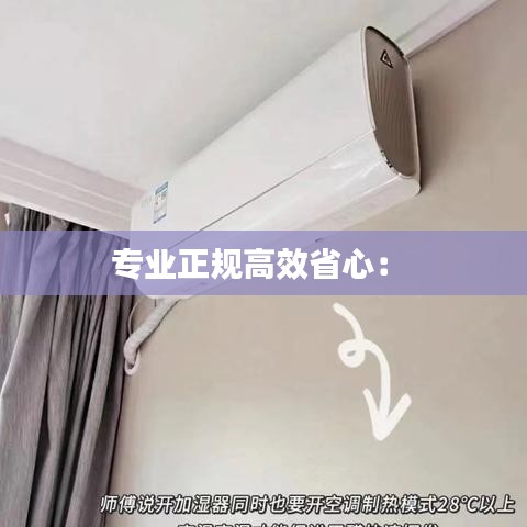 专业正规高效省心： 