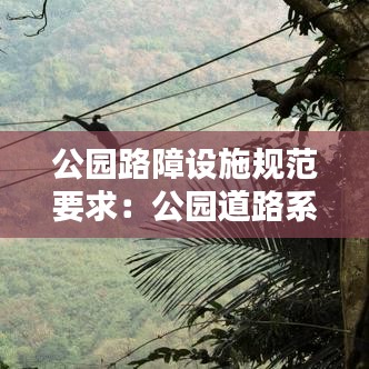 公园路障设施规范要求：公园道路系统 