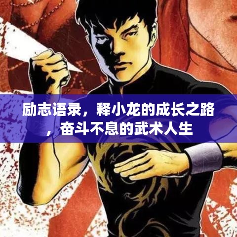 励志语录，释小龙的成长之路，奋斗不息的武术人生