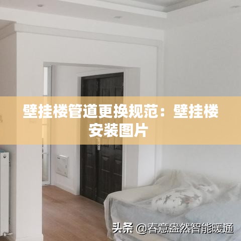 壁挂楼管道更换规范：壁挂楼安装图片 