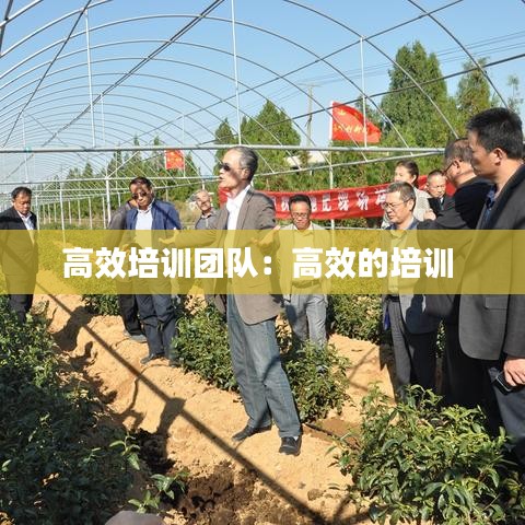 高效培训团队：高效的培训 