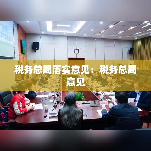 税务总局落实意见：税务总局 意见 