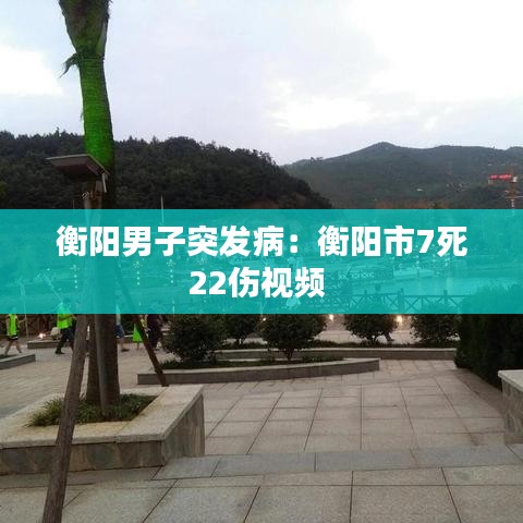 衡阳男子突发病：衡阳市7死22伤视频 