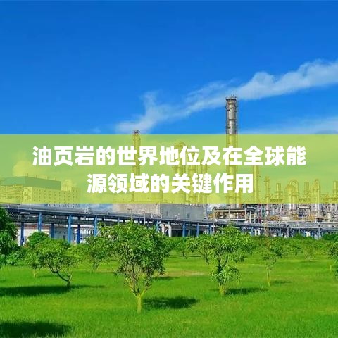 油页岩的世界地位及在全球能源领域的关键作用