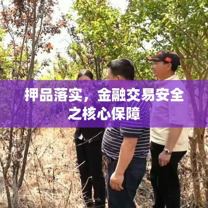 押品落实，金融交易安全之核心保障