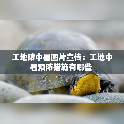 工地防中暑图片宣传：工地中暑预防措施有哪些 