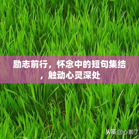 励志前行，怀念中的短句集结，触动心灵深处
