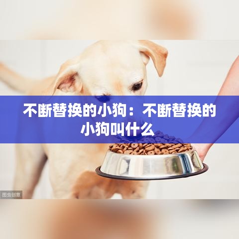 不断替换的小狗：不断替换的小狗叫什么 