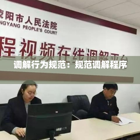 调解行为规范：规范调解程序 