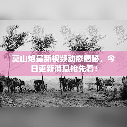 莫山炮最新视频动态揭秘，今日更新消息抢先看！