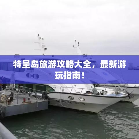 特呈岛旅游攻略大全，最新游玩指南！