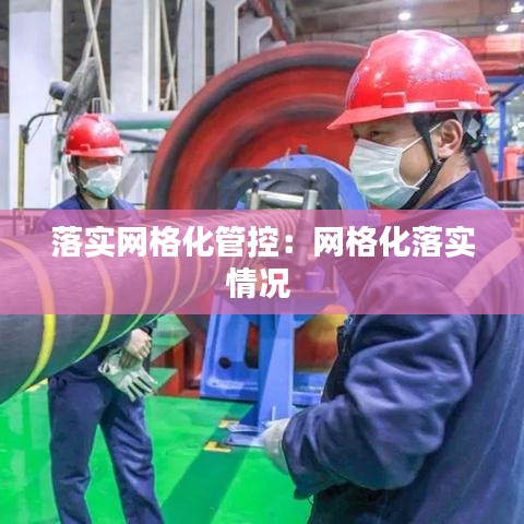 落实网格化管控：网格化落实情况 