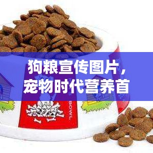 狗粮宣传图片，宠物时代营养首选！