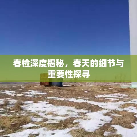春检深度揭秘，春天的细节与重要性探寻