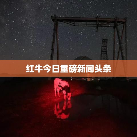红牛今日重磅新闻头条
