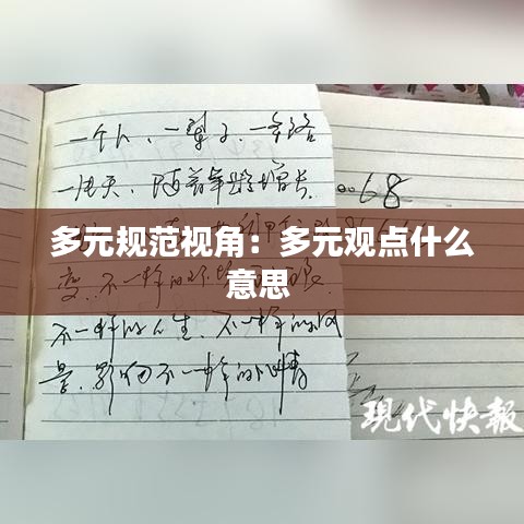 多元规范视角：多元观点什么意思 