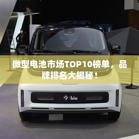 微型电池市场TOP10榜单，品牌排名大揭秘！