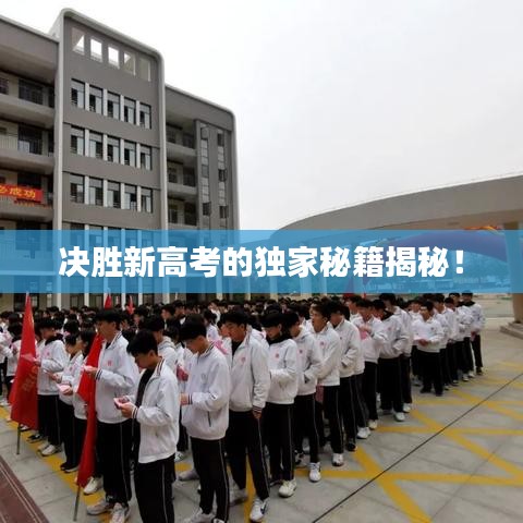 决胜新高考的独家秘籍揭秘！