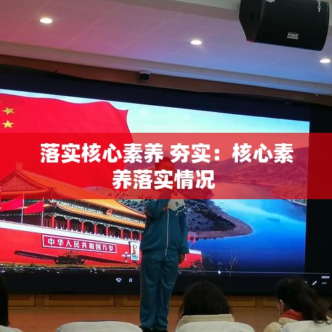 落实核心素养 夯实：核心素养落实情况 