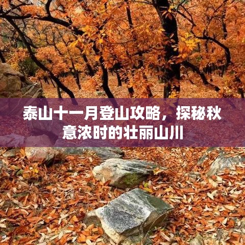 泰山十一月登山攻略，探秘秋意浓时的壮丽山川