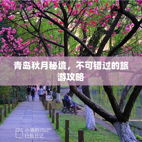 青岛秋月秘境，不可错过的旅游攻略