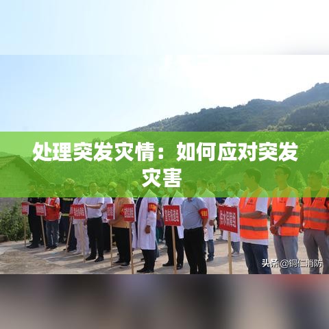 花开无言 第2页