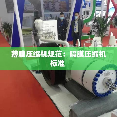 薄膜压缩机规范：隔膜压缩机标准 