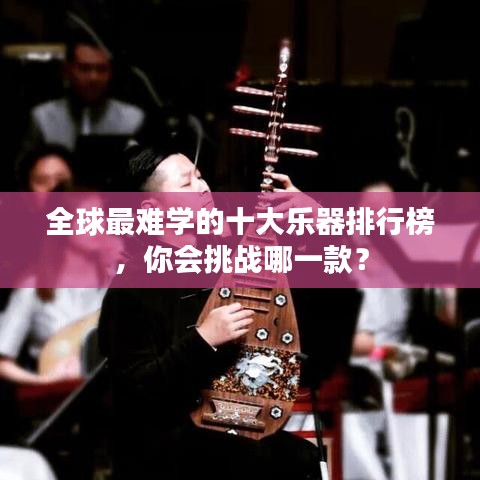 全球最难学的十大乐器排行榜，你会挑战哪一款？