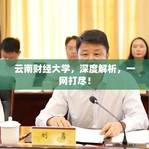 云南财经大学，深度解析，一网打尽！