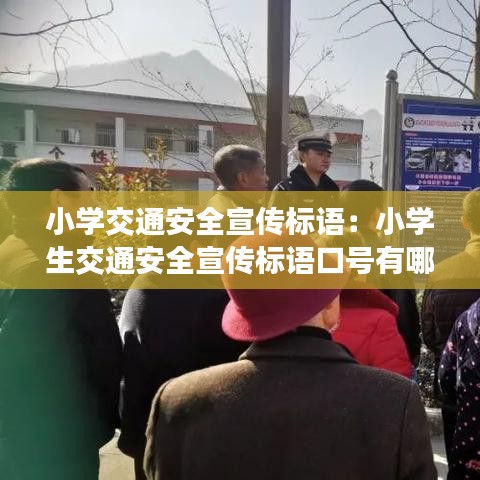 小学交通安全宣传标语：小学生交通安全宣传标语口号有哪些 