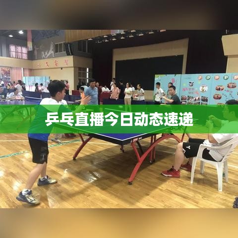 乒乓直播今日动态速递