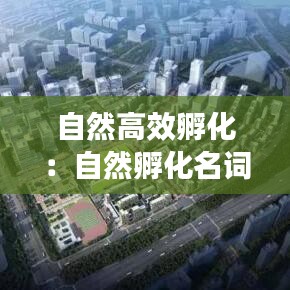 自然高效孵化：自然孵化名词解释 