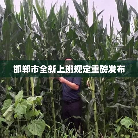 邯郸市全新上班规定重磅发布