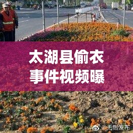 太湖县偷衣事件视频曝光，调查进展与深度反思