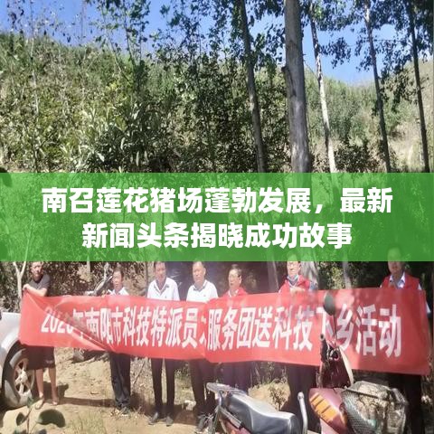 南召莲花猪场蓬勃发展，最新新闻头条揭晓成功故事
