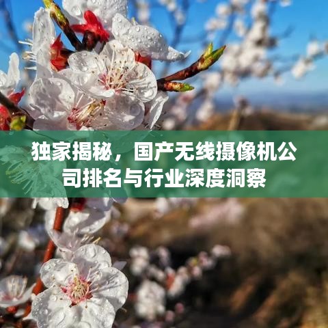 独家揭秘，国产无线摄像机公司排名与行业深度洞察
