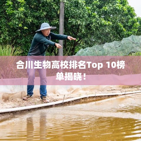 合川生物高校排名Top 10榜单揭晓！
