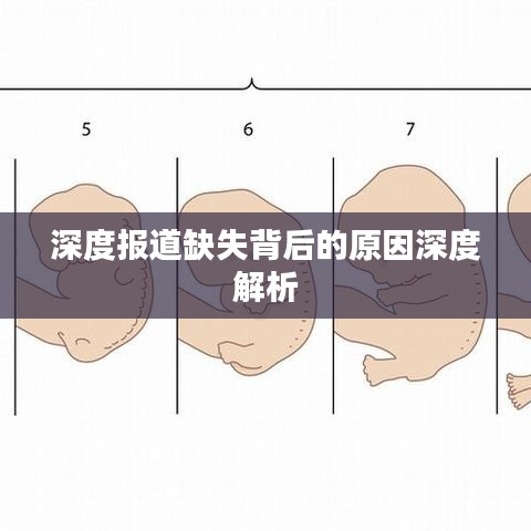 深度报道缺失背后的原因深度解析