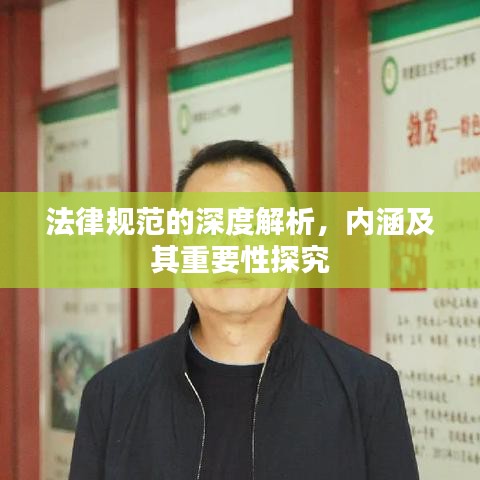 法律规范的深度解析，内涵及其重要性探究