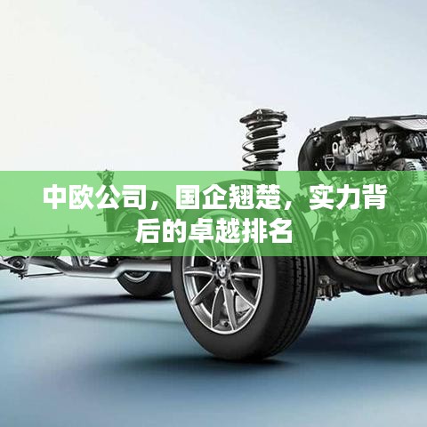 中欧公司，国企翘楚，实力背后的卓越排名