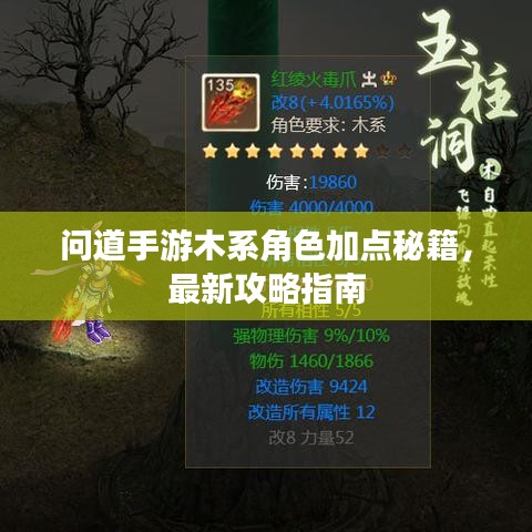 问道手游木系角色加点秘籍，最新攻略指南
