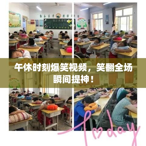 午休时刻爆笑视频，笑翻全场瞬间提神！