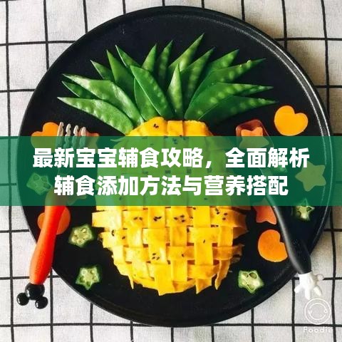 最新宝宝辅食攻略，全面解析辅食添加方法与营养搭配